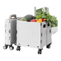 LYNN折叠购物车买菜手拉车取快递小推车手拉车露营拉杆行李车买菜拖车 【购物车】4轮万向轮中号