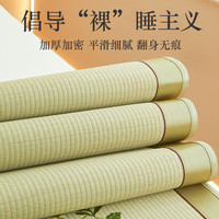 罗曼雅天然蔺草席凉席2025款夏天家用宿舍可折叠水洗空调老式席子 御风三叶草席丨90%补水率【带枕套】