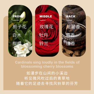 深润柔滑免蒸发膜顺滑滋润补水保湿改善毛躁护发素