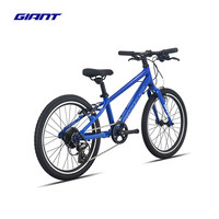捷安特（GIANT）Fastroad 20铝合金20寸童车V刹变速青少年自行车  20×10 建议115-135cm