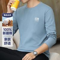 【100%新疆棉】春秋款简约休闲亲肤圆领基础款男士t恤长袖男