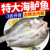海鲈鱼开背新鲜冷冻鲜活深海鱼白蕉七星海卢鱼水产烤鱼半成品商用