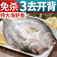 海鲈鱼开背新鲜冷冻鲜活深海鱼白蕉七星海卢鱼水产烤鱼半成品商用