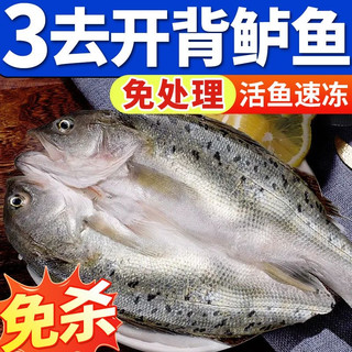 海鲈鱼开背新鲜冷冻鲜活深海鱼白蕉七星海卢鱼水产烤鱼半成品商用