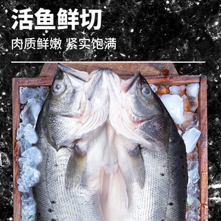 海鲈鱼开背新鲜冷冻鲜活深海鱼白蕉七星海卢鱼水产烤鱼半成品商用