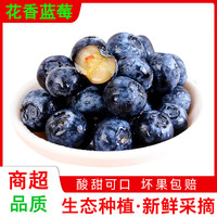 果聚匠心 新鲜云南花香蓝莓8盒