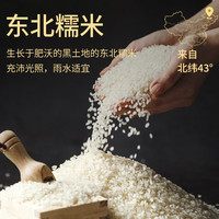 一品巷子嘉兴粽子霸王棕新鲜肉粽250g大肉粽双蛋黄五花肉粽端午节早餐速食 五花肉双蛋黄粽250g