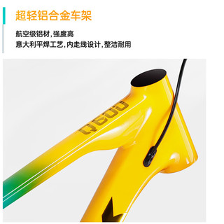 千里达（TRINX）无极Q600超轻铝合金禧玛诺DEOREM6100越野12速山地车自行车成人 Q600PRO蓝绿 29*19英寸 :180-195cm左右 12速