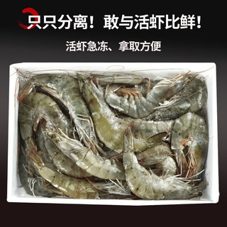  尚致 鲜冻 冷冻基围虾