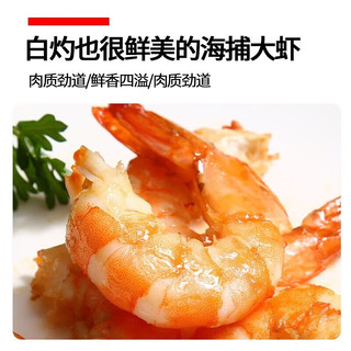  尚致 鲜冻 冷冻基围虾