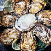 SOXW乳山生蚝 大号5XL 生鲜 鲜活 新鲜牡蛎带壳2.5斤 海鲜海蛎子 特选生蚝 单个 5-7两左右