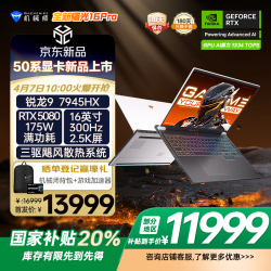 机械师 曙光16Pro全新202516英寸电竞游戏本笔记本电脑 全新R9-7945HX 300Hz 32G 1T 白