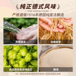 博德皮尔森 pilsener 5.0皮尔森黄啤酒 500ml*3罐 组合装 德国精酿原装进口