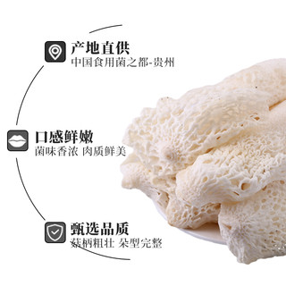 京鲜生&云芳斋 【竹荪花】300g 新鲜红托竹荪酒店餐饮 源头直发 竹荪花300g