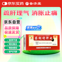 普济堂 柴胡舒肝丸10g*10丸舒肝理气 消胀止痛 食滞不清柴胡疏肝丸护肝片肝郁脾虚湿气重