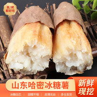 鲜彤 山东正宗哈密冰糖薯新鲜白心蜜薯糖心红薯现挖农家自种沙地地瓜