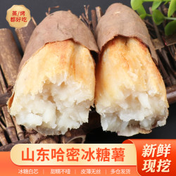 鲜彤 山东正宗哈密冰糖薯新鲜白心蜜薯糖心红薯现挖农家自种沙地地瓜