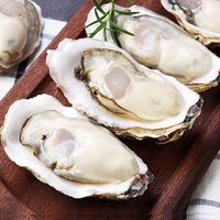味优福乳山生蚝 4XL 鲜活牡蛎 新鲜海鲜带箱5斤 斤水产 海蛎子 鲜活乳山生蚝 单个 3-4两