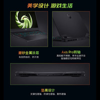 微星（MSI）雷影17 R9-7940HX RTX4070满血版高端游戏本17.3英寸高性能电竞笔记本电脑 雷影17丨7940HX丨RTX4070 32G 内存 1TB固态