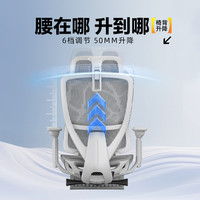 ENOVA乐瓦时尚家人体工学椅宿舍电竞椅家用电脑椅护腰舒适办公椅 真本色lite版(3D扶手+四档调节腰靠+网布坐垫)