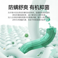 七匹狼（SEPTWOLVES）短袖T恤男夏季冰藻泥凉感圆领打底衫男士冰爽亲肤透气短T男装上衣 803(本白)-2813款 160/80A(S)