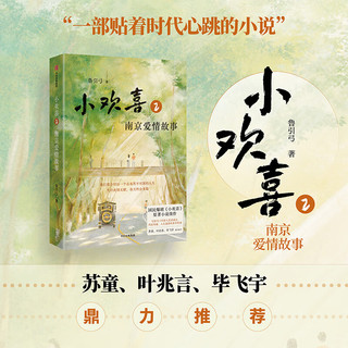 【专享亲签版】小欢喜2 南京爱情故事 国民爆剧《小欢喜》小说续作 方一凡×乔英子的南京爱情故事 鲁引弓 中信出版社图书  4月下旬