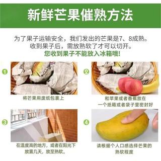 萧鲜生海南金煌芒果 （拍2件合并一箱）当季新鲜水果生鲜 精选海南金煌芒果 4-4.5 斤（大果300g+）