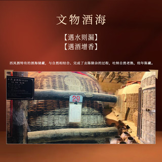西凤酒 六年陈酿 52度 凤香型白酒