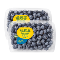 怡颗莓 当季云南蓝莓240g*2盒(14mm+)