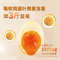 叶黄素可生食富硒鲜鸡蛋20枚无抗无沙门氏菌土鸡蛋儿童早餐