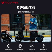 小牛电动 G400T电动自行车  智能锂电长续航 新国标电动车 英伦黑