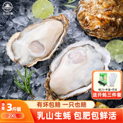 乳山牡蛎 鲜活乳山生蚝2XL号 净重3斤装 9-12只海鲜礼盒 要先领券