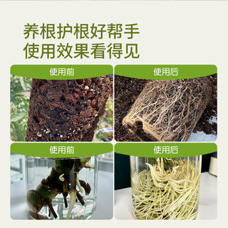 史丹利快速生根粉植物通用树木移栽多菌灵强力扦插100g