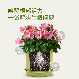 史丹利快速生根粉植物通用树木移栽多菌灵强力扦插100g