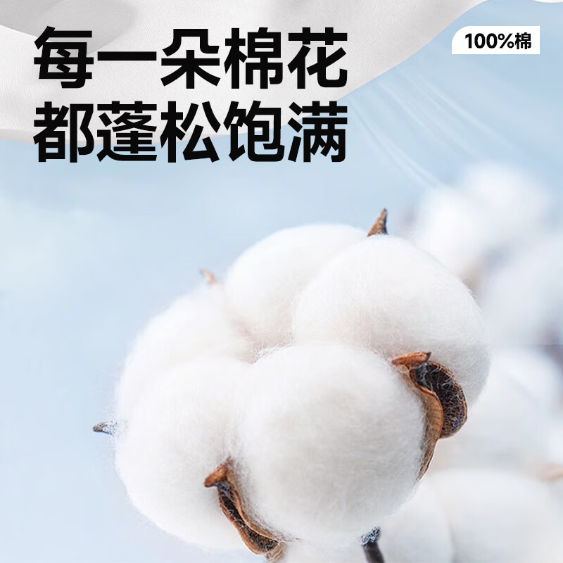 棕榈绿(竹风纂体胸标)