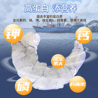 88VIP：鱻谣 江苏省 冷冻白对虾仁 400g*4袋
