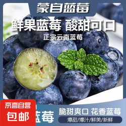 蒙自石榴 云南蒙自蓝莓鲜果新鲜高端水果当季蓝梅整箱现货直发单盒净重100g 蒙自蓝莓20mm+4盒