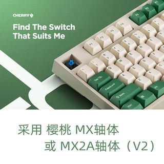 FC980MBT白绿PD配色LEOPOLD利奥博德大L机械键盘樱桃红轴蓝牙键盘 樱桃红轴-FC980MBT-可蓝牙可有线-白绿PD
