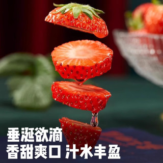 丹东99草莓新鲜水果九九红颜奶油大礼盒牛奶辽宁东港久久 【空运锁鲜】A+级 商超巨无霸【单果35-40g】奶香鲜甜,店长
