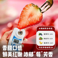 丹东99草莓新鲜水果九九红颜奶油大礼盒牛奶辽宁东港久久 【空运锁鲜】A+级 精选中果【单果15-20g】果肉饱满~越大越好吃!!