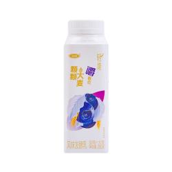 三元 粗粮果粒 风味发酵乳