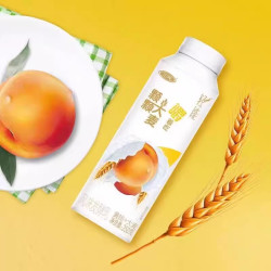三元 粗粮果粒 风味发酵乳