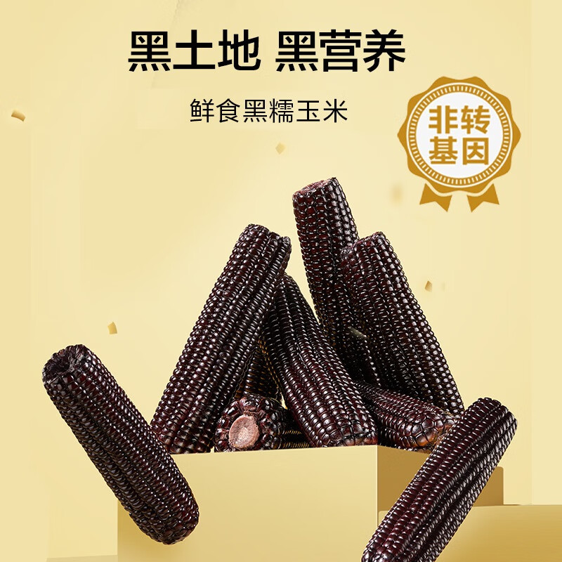 良农嫁稻【中国农垦】黑糯玉米棒 东北非转基因保鲜香糯玉米 营养早餐粗粮 真空包装 250g*8穗