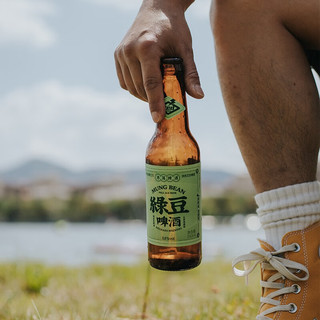  赤耳 国产精酿 精酿啤酒套装  瓶装