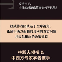 置身事内 中国与西方 中国政府与经济发展 当前经济政策与应对 兰小欢 林毅夫 中信