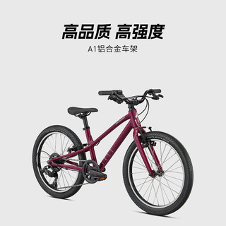 SPECIALIZED闪电 JETT 20英寸7速24英寸8速 儿童自行车男女自行车 浆果紫/丁香紫 20