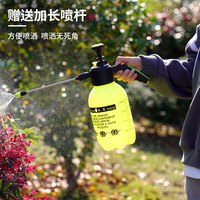一洲 手动小型喷雾器喷壶肩背式气压喷水花壶园艺打药机浇花洗车洒水壶 02K2升小花壶-黄色