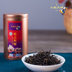 九龙天乡 雪域红茶古树 养生茶藏区 云上天窖 50g