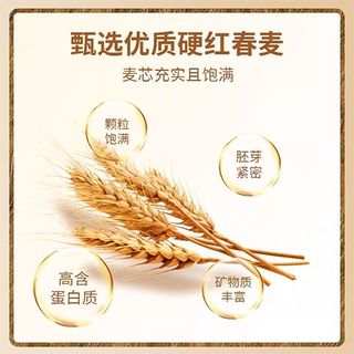 金像牌 高筋面粉 吐司用小麦粉面包粉适用法式欧式面包披萨烘焙原料家用 面包粉1.5kg 面包粉1500g