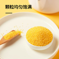 十月稻田黄小米1kg五谷杂粮 粗粮小米粥新鲜小米大米 早餐粥年货